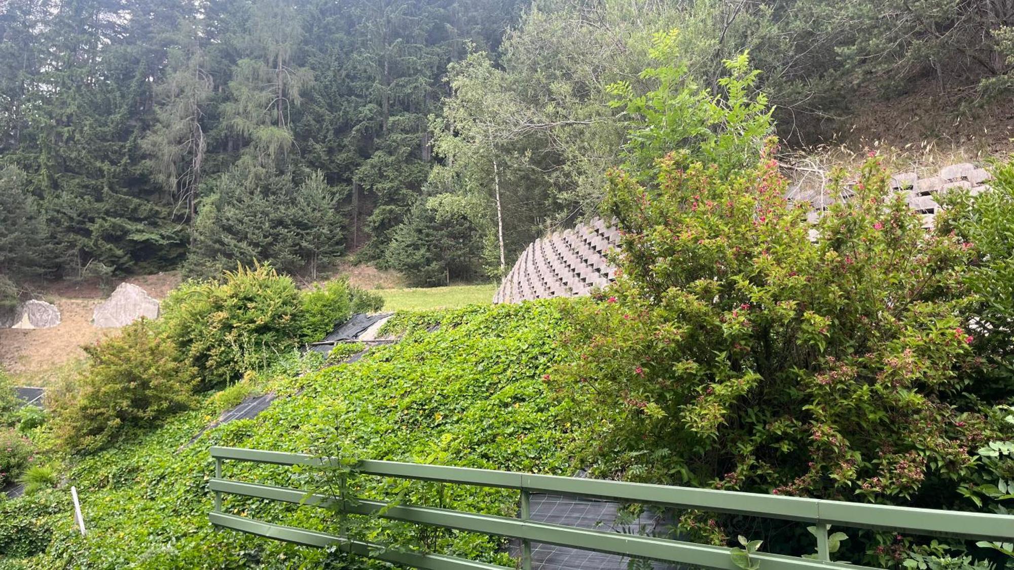 Saxl Campo di Trens